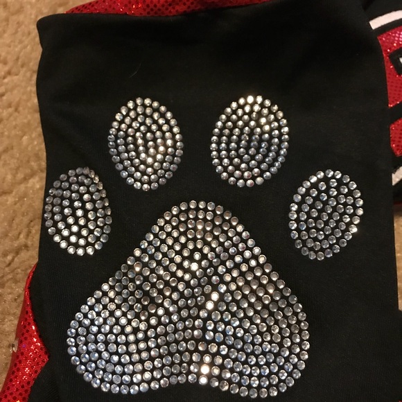 All Star Cheer Uniform - Picture 4 of 6